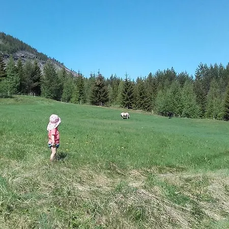 Telemark - * Hauggrend