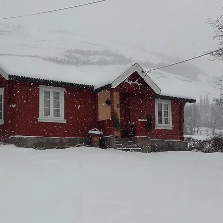 Telemark - Hauggrend