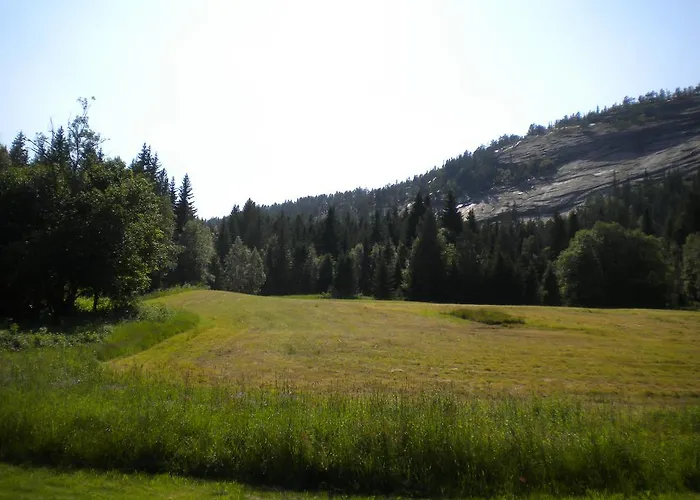 Κατάλυμα σε φάρμα Telemark - Hauggrend